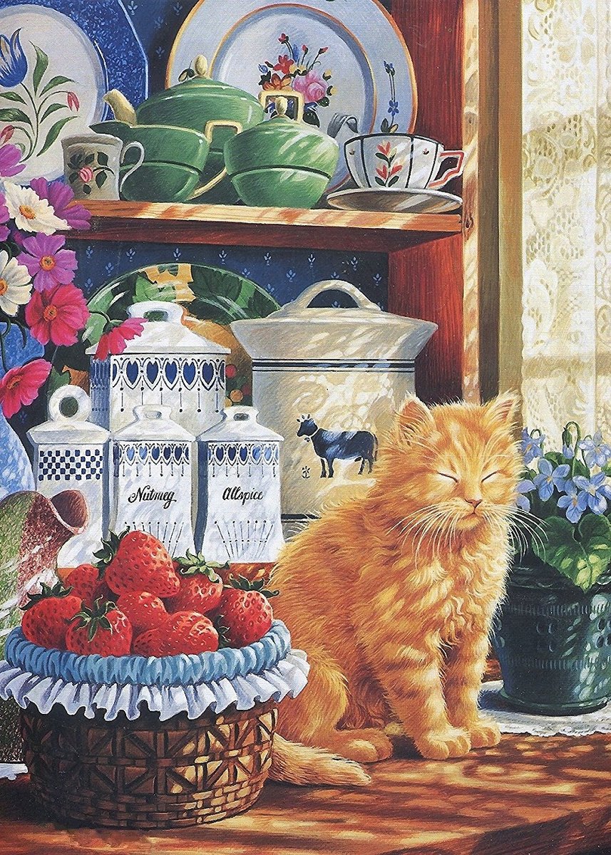 кот - кот - оригинал