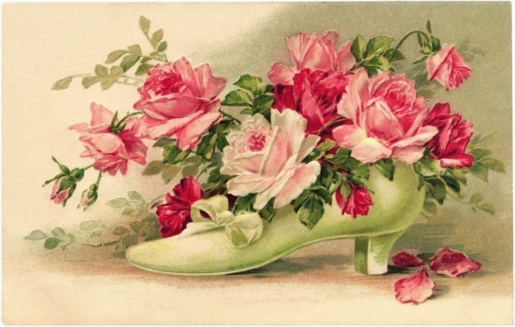 Туфелька роз - туфелька, цветы, розы - оригинал