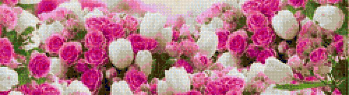 весенние цветы - розы, цветы, весна, тюльпаны - предпросмотр