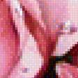 Предпросмотр схемы вышивки «розовый букет» (№1793616)