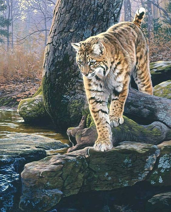 №1793648 - оригинал