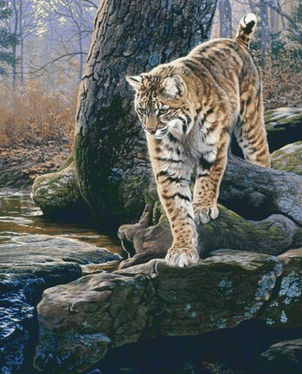 №1793648 - предпросмотр