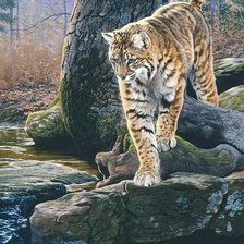 Схема вышивки «№1793648»