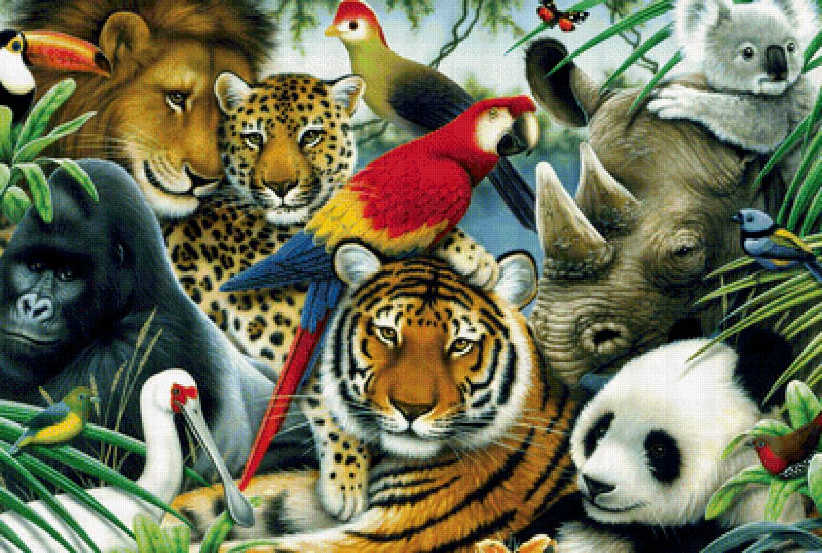 Животные - птицы, звери - предпросмотр