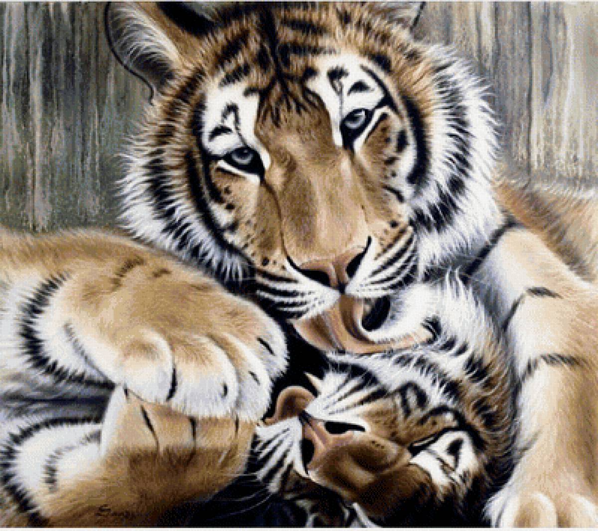 №1794347 - тигры - предпросмотр