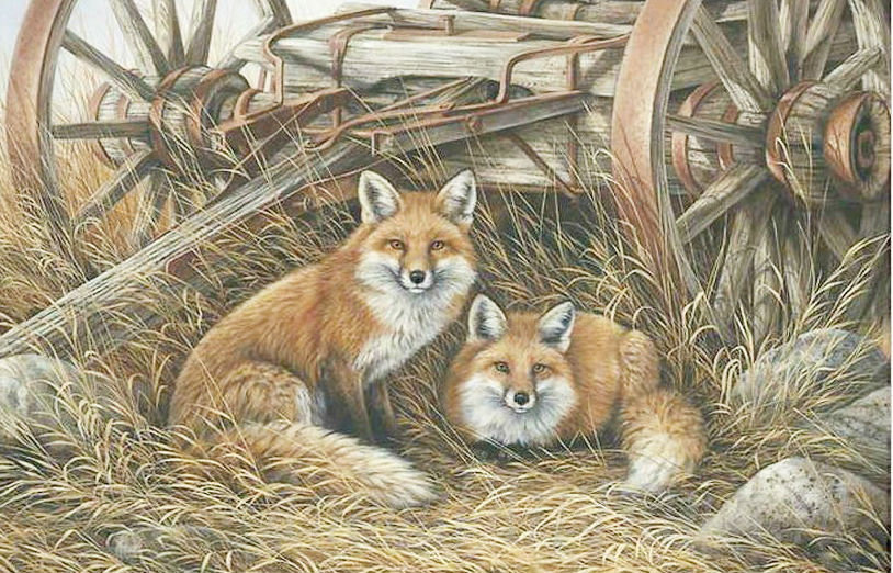 Лисички - животные, звери, лиса - оригинал