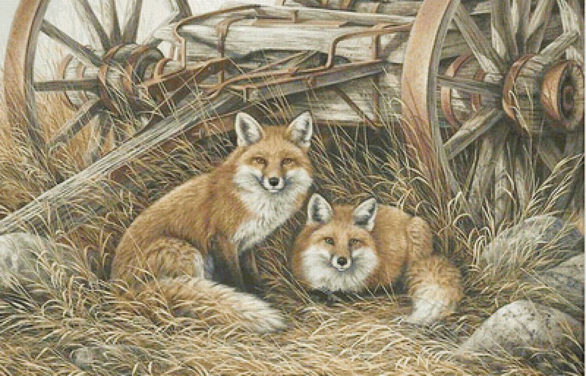 Лисички - животные, звери, лиса - предпросмотр