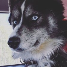 Схема вышивки «Мироха»