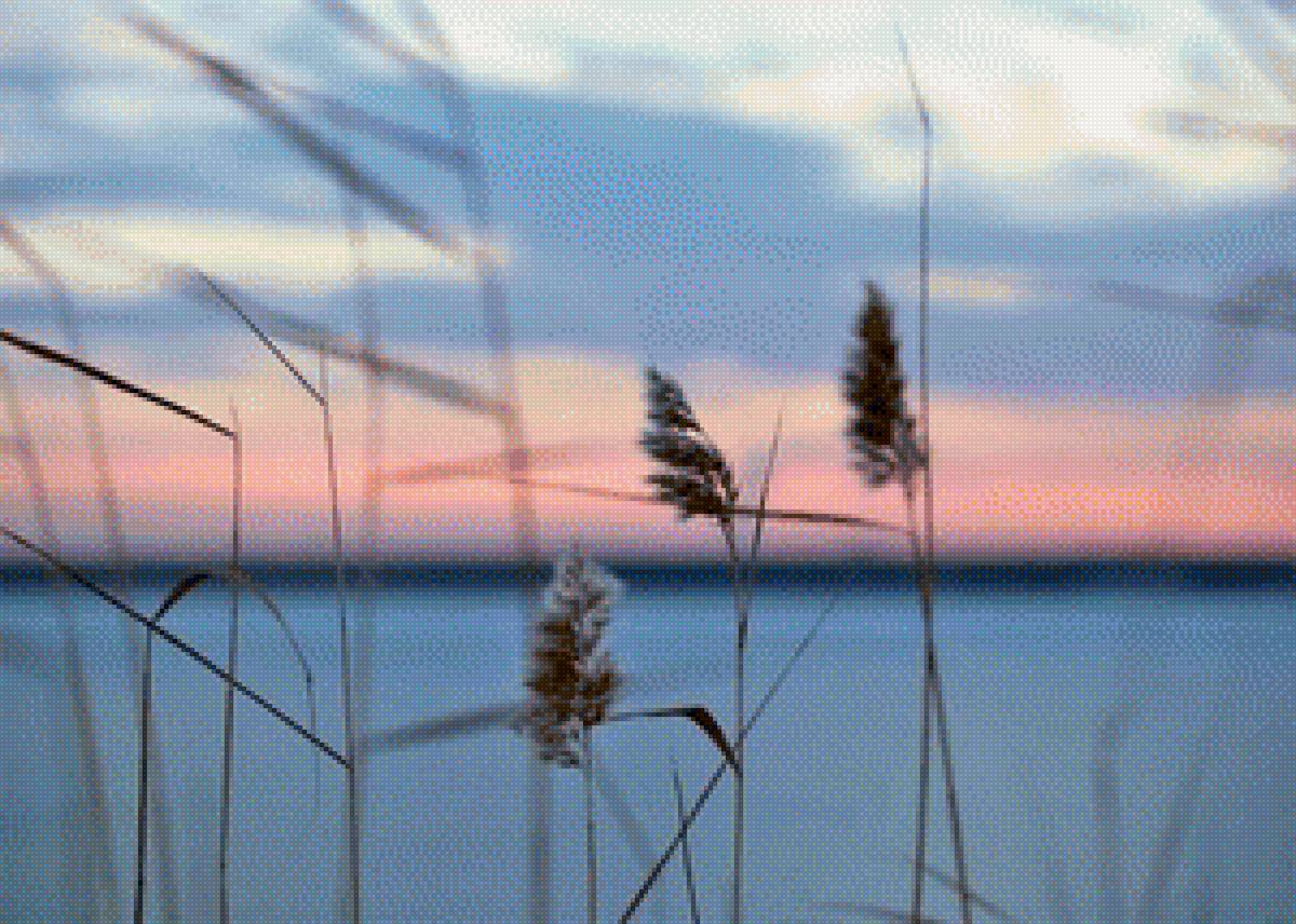 Тишина у воды 1 - предпросмотр