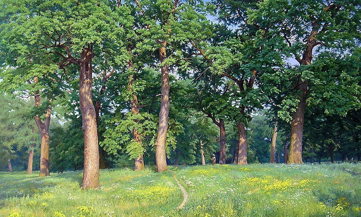 Пейзаж - дубы, роща, деревья - оригинал