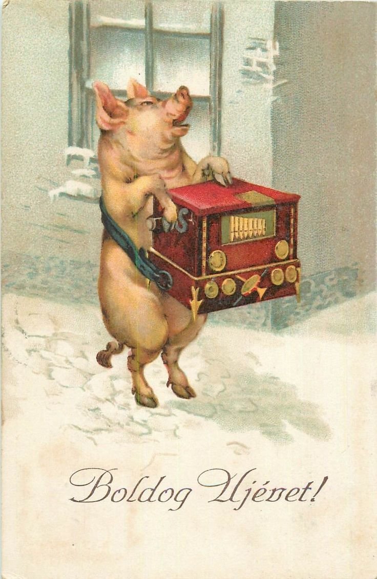 Свинка-шарманщик - свинья, музыкант, поросенок, зима - оригинал