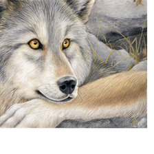 Оригинал схемы вышивки «Волк» (№1795527)