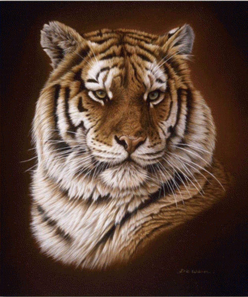 тигр - тигр хищник - предпросмотр
