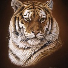 Оригинал схемы вышивки «тигр» (№1796018)
