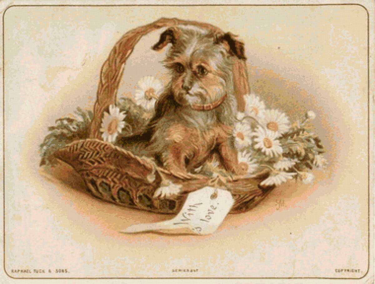 Щенок - собака зверь - предпросмотр