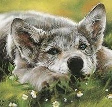 Схема вышивки «№1796836»