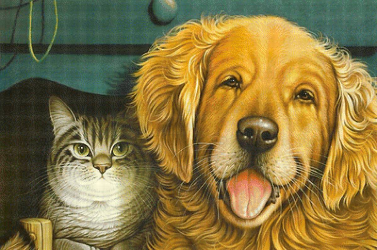 кот и пёс - собака, кот - предпросмотр