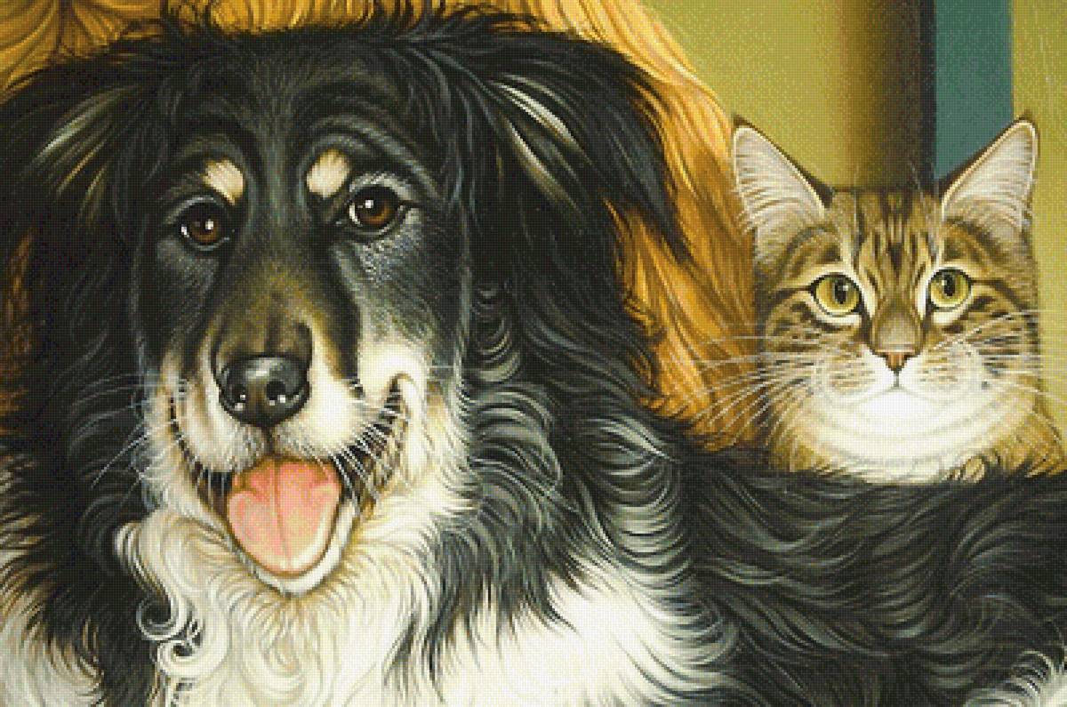 пёс и кот - кот, собака - предпросмотр