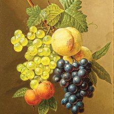 Абрикосы и виноград