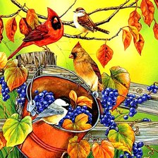 Схема вышивки «№1797950»