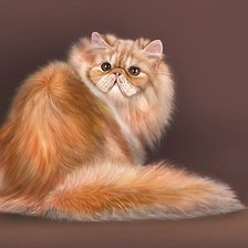 Схема вышивки «кот»