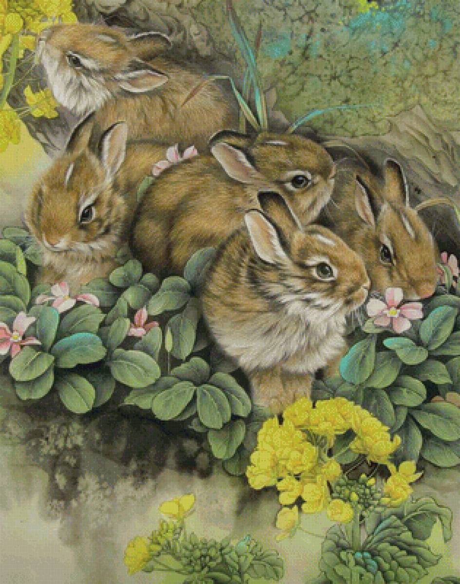 Кролики - звери, зайцы, животные - предпросмотр