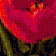 Предпросмотр схемы вышивки «Тюльпаны.» (№1798497)