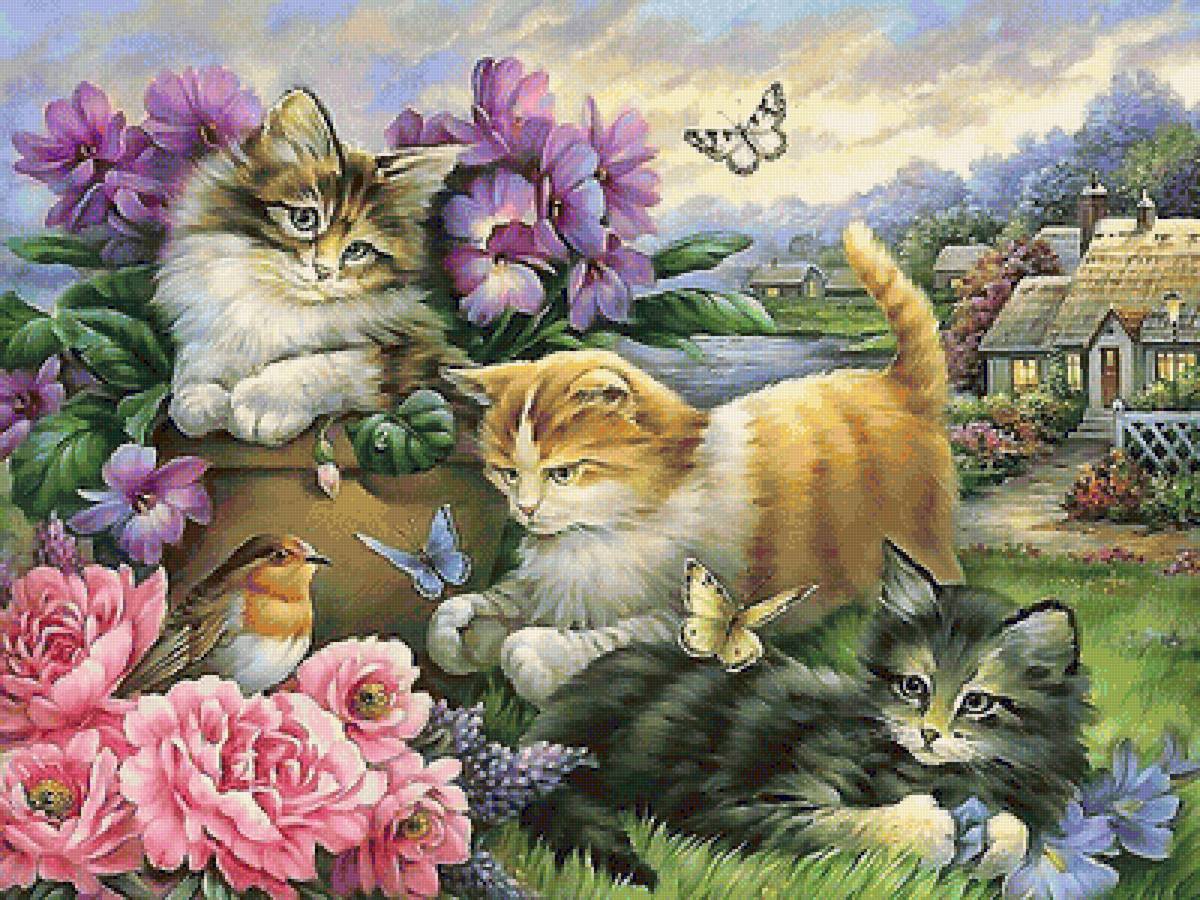 котята - котята - предпросмотр