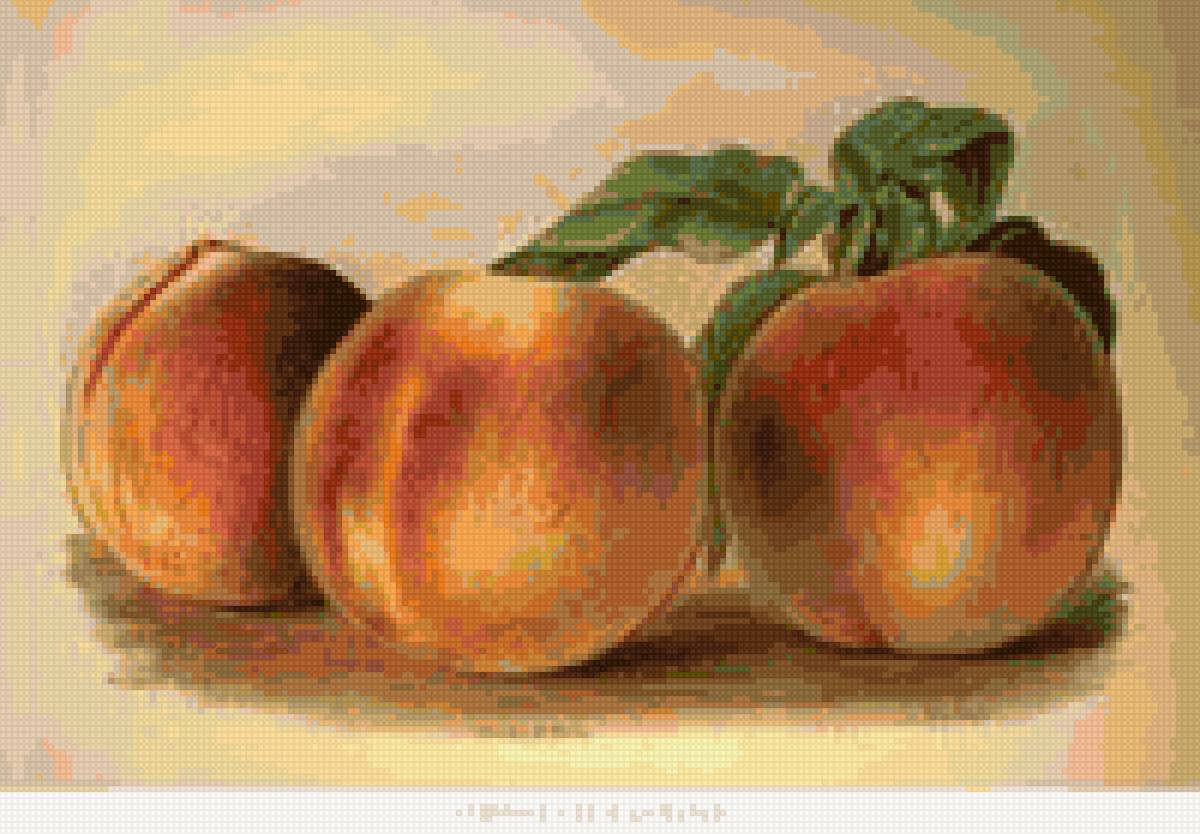 Натюрморт с персиками - персики, фрукты, натюрморт - предпросмотр