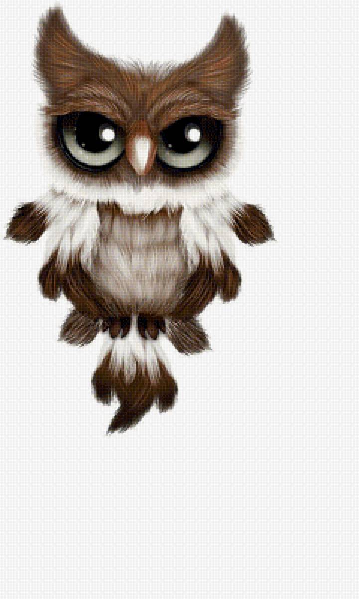 Совенок - птицы, животные - предпросмотр