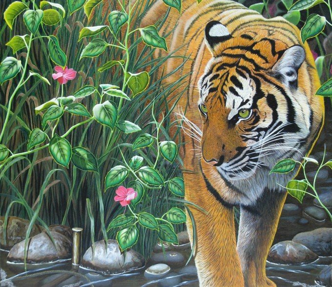 Тигр - животные, звери - оригинал