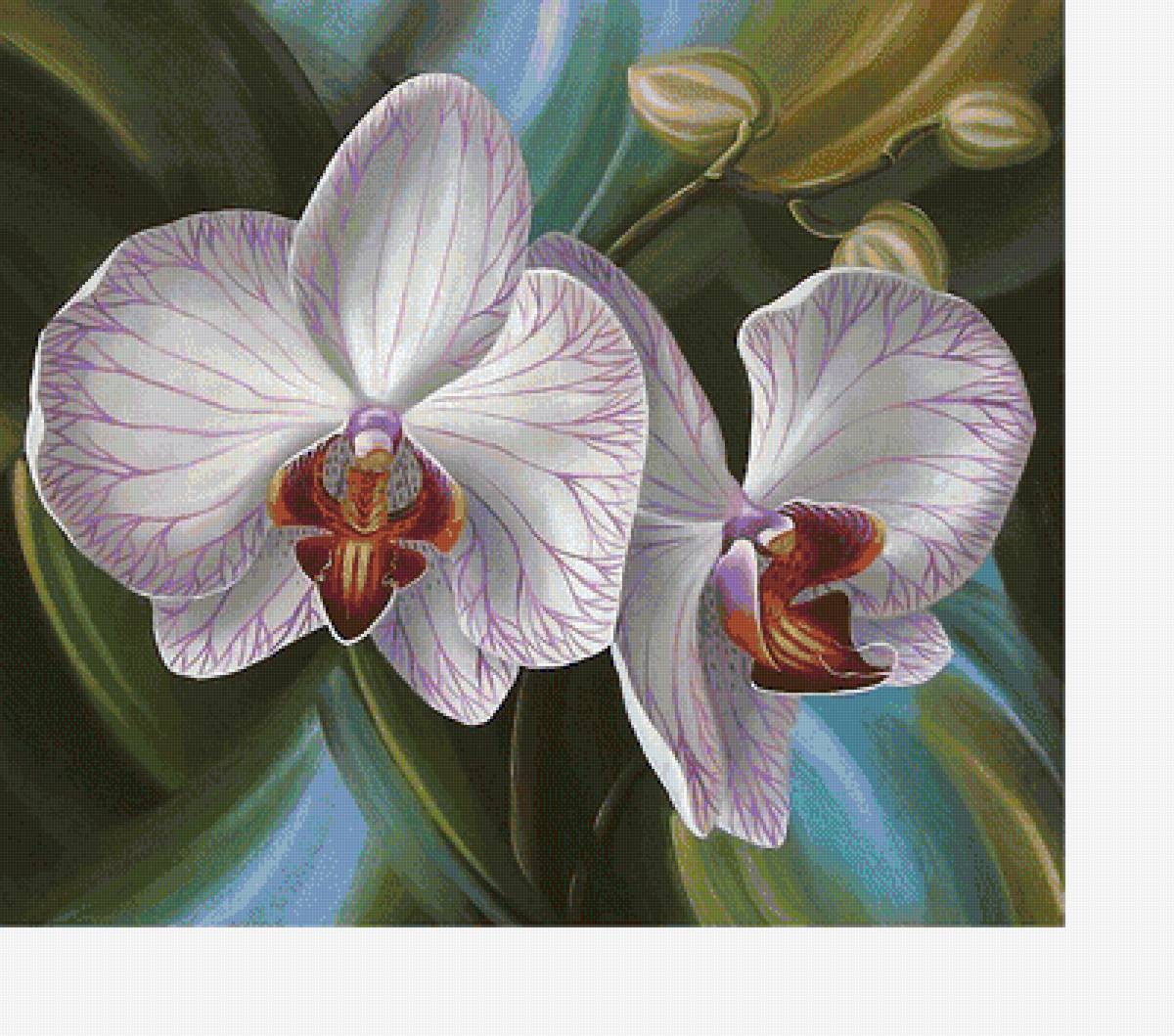 №1798908 - предпросмотр