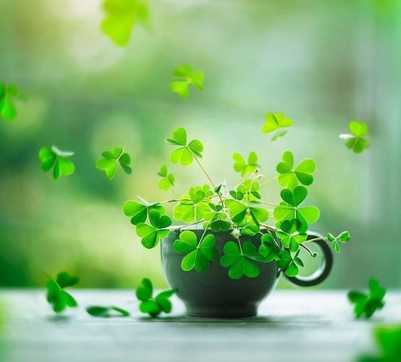 2 - оригинал