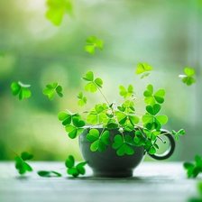 Схема вышивки «2»