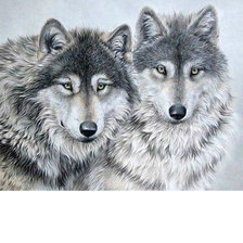 Схема вышивки «Волки»