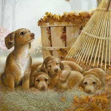 Схема вышивки «№1799400»