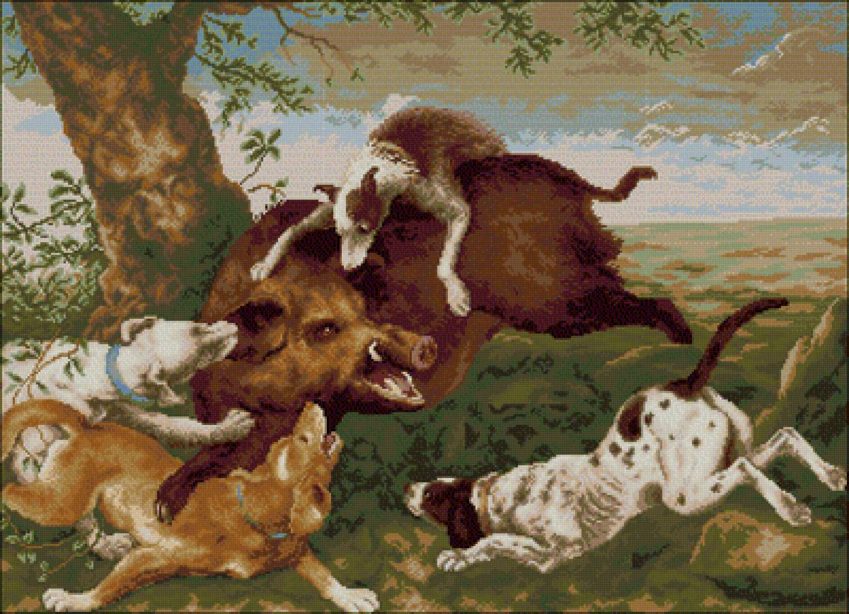 Охота на кабана - собаки, охота, животные, кабан - предпросмотр