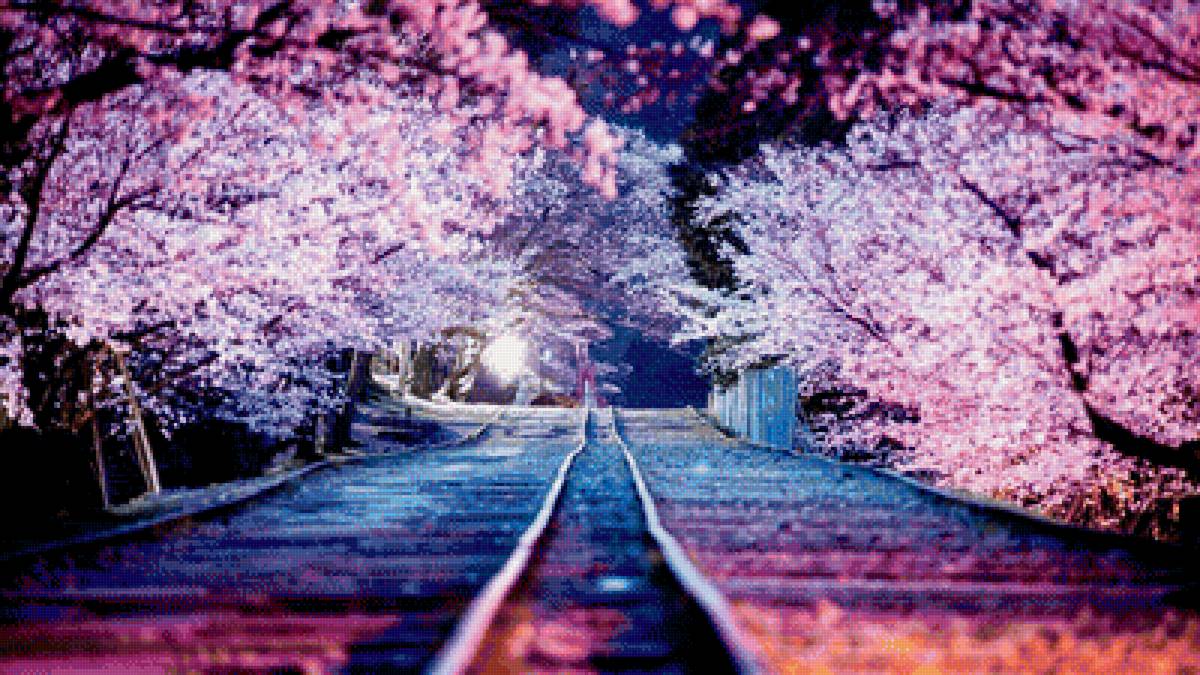 Япония. Киото - япония, сакура, киото, вечер - предпросмотр