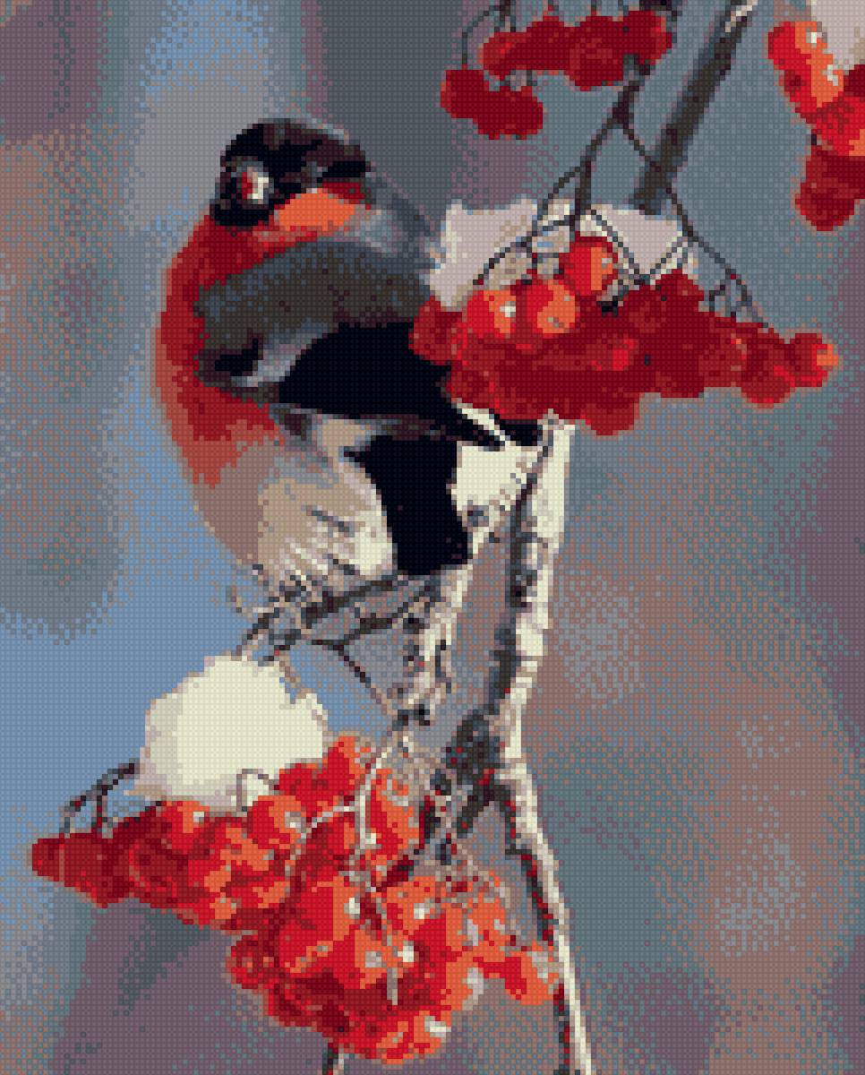 снегирь - предпросмотр