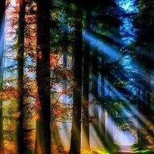 Схема вышивки «№1800754»