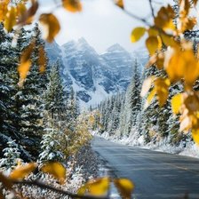 Схема вышивки «№1800766»