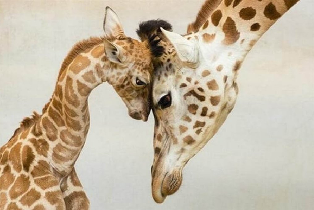 Мамулечка - картина - оригинал