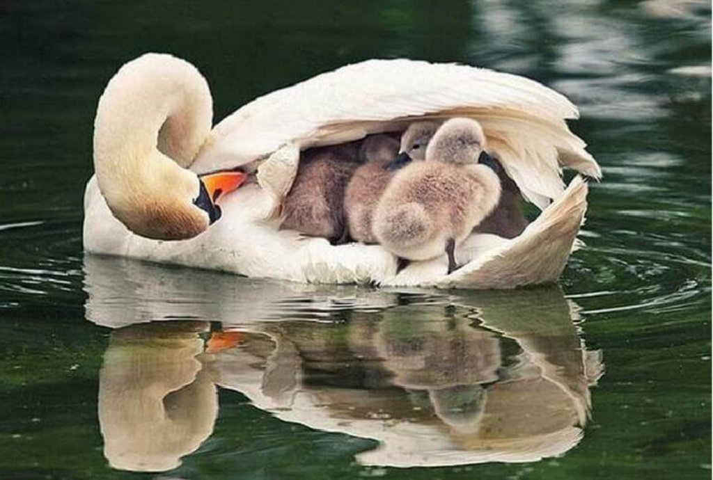 Мамулечка - картина - оригинал