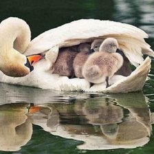 Схема вышивки «Мамулечка»