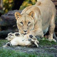 Схема вышивки «Мамулечка»