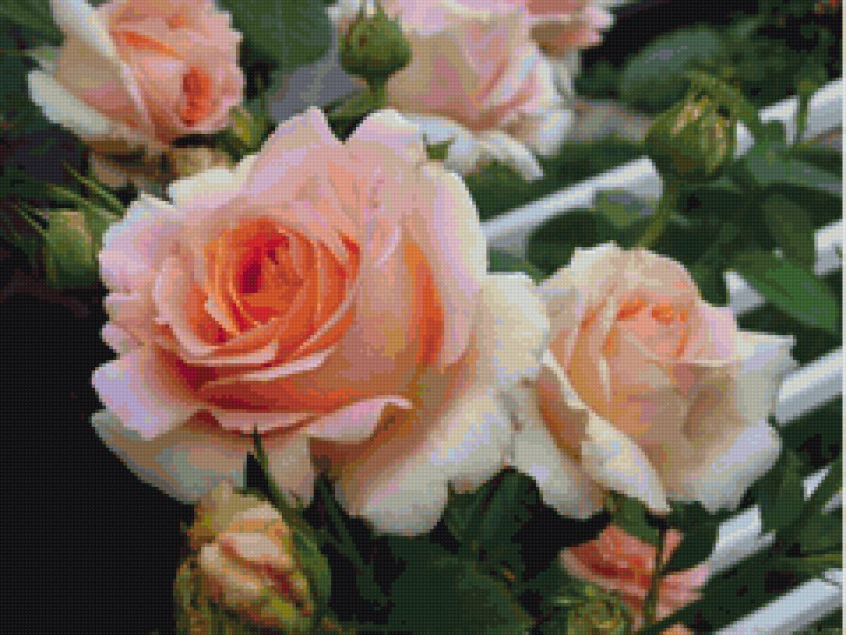 Розы - картина - предпросмотр