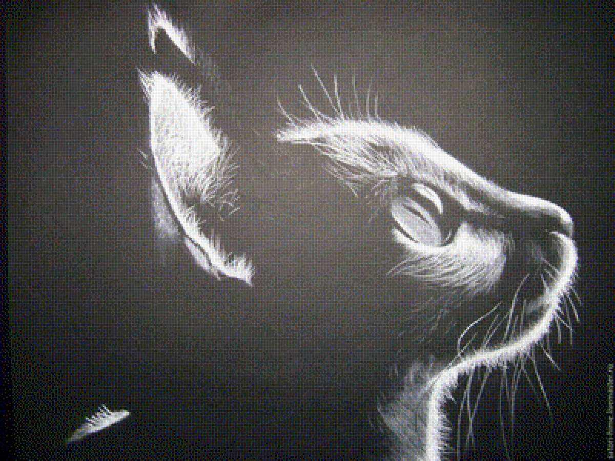 кошка 1-2 - монохром, кошка - предпросмотр