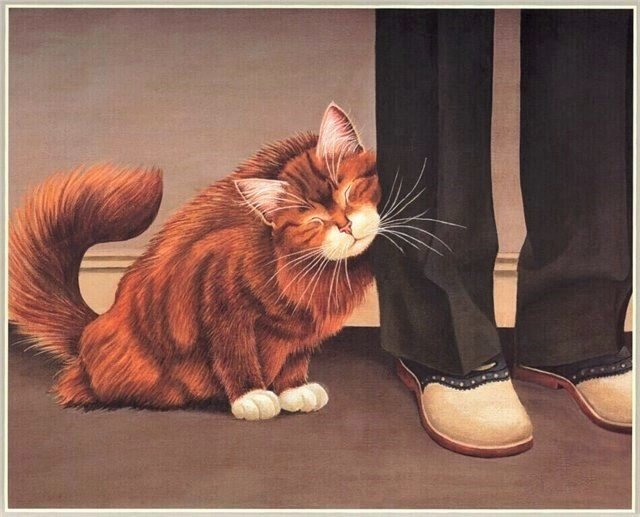 Рыжий кот - кот, кошки, животные - оригинал