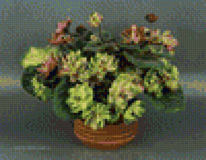 Очаровательная фиалка - цветы, горшок, фиалка, листья - предпросмотр