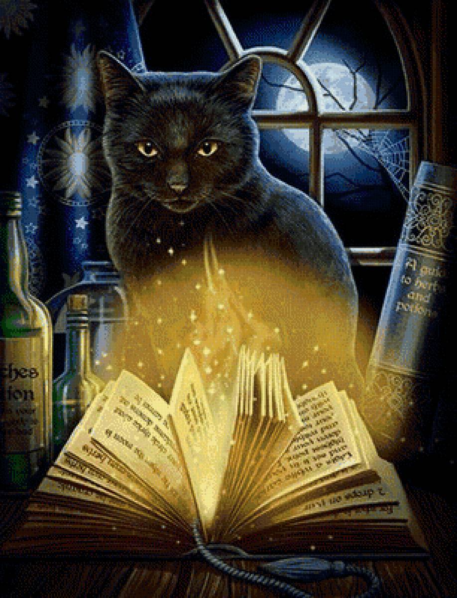 Магия ночи - книги, книга, кот, магия, ночь - предпросмотр